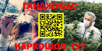 крисы Обь