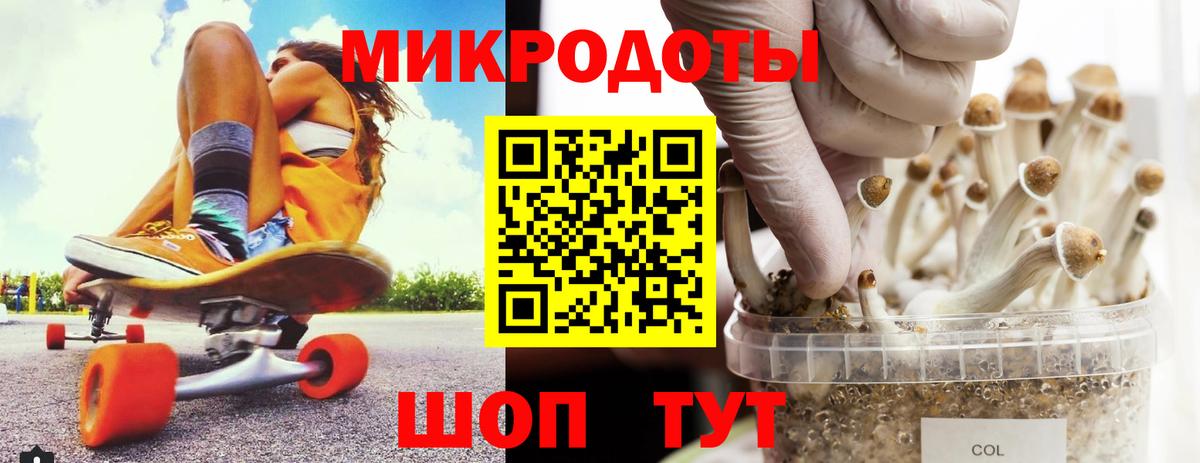 Галлюциногенные грибы Psilocybine cubensis Санкт-Петербург