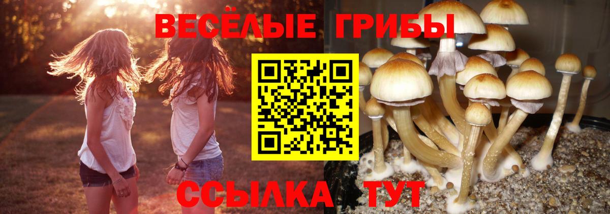 Галлюциногенные грибы ЛСД  Вход с VPN  Санкт-Петербург  Псилоцибиновые грибы Cubensis 